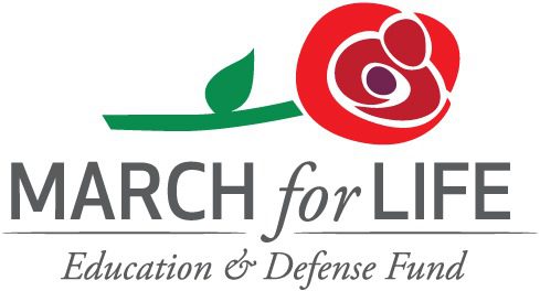 Did you ever wonder about the meaning behind the March for Life's rose logo?
