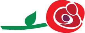 March for Life logo: a single red rose
