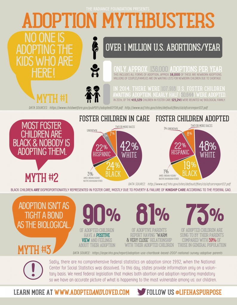 adoption-mythbusters-2015-794x1024