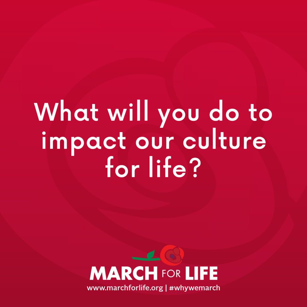 The March for Life is invigorating…the crowds, the enthusiasm, and being surrounded by fellow pro-lifers…but we need you to take this energy home and make a difference in our local communities.
