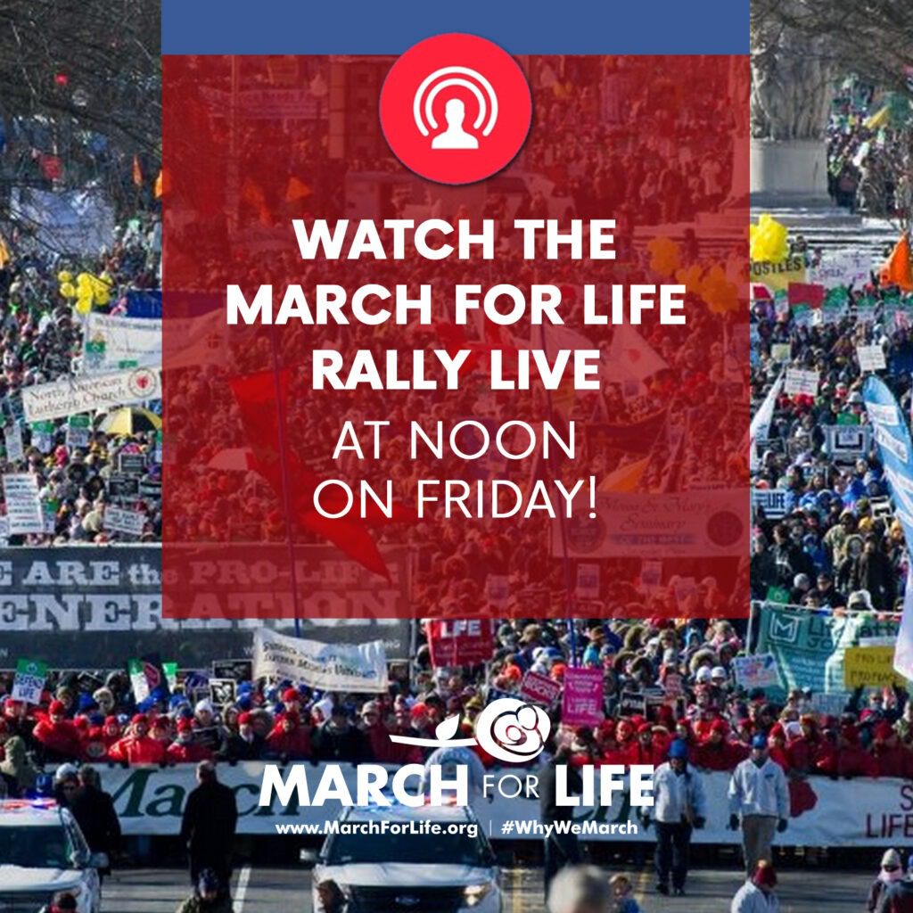 Not Able to Attend the March for Life? Here's What You Can Do