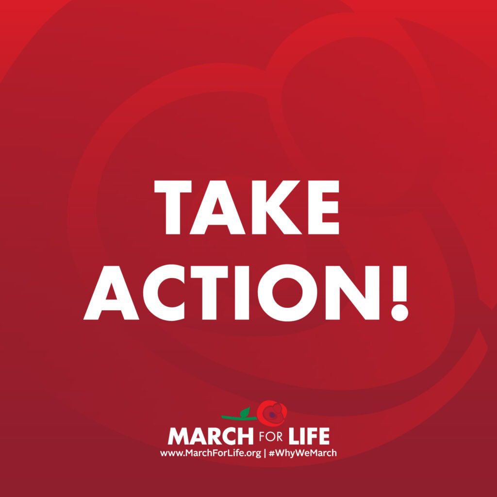 To help provide suggestions for year-round involvement, each month we will send you three action items that promote a culture of life. Are you up for the challenge?