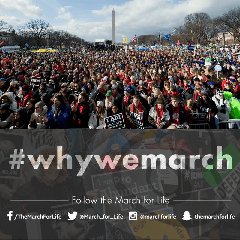 What a year it has been! We want to thank all of our friends on social media who follow the work of the March for Life, and partner with us to spread the truth about life.