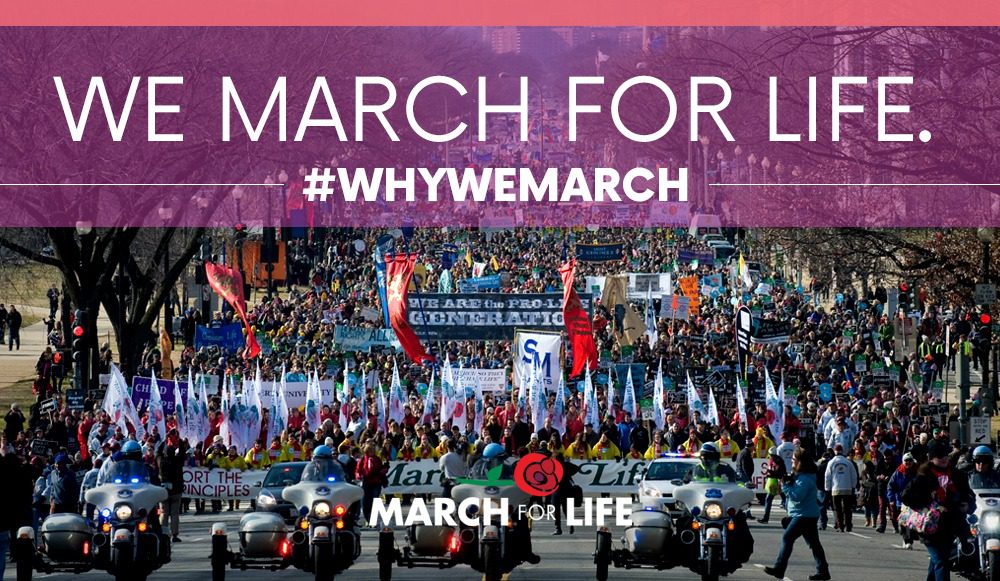 Even if you are not able to attend the 45th Annual March for Life on Friday, January 19, 2018, your voice is still important!