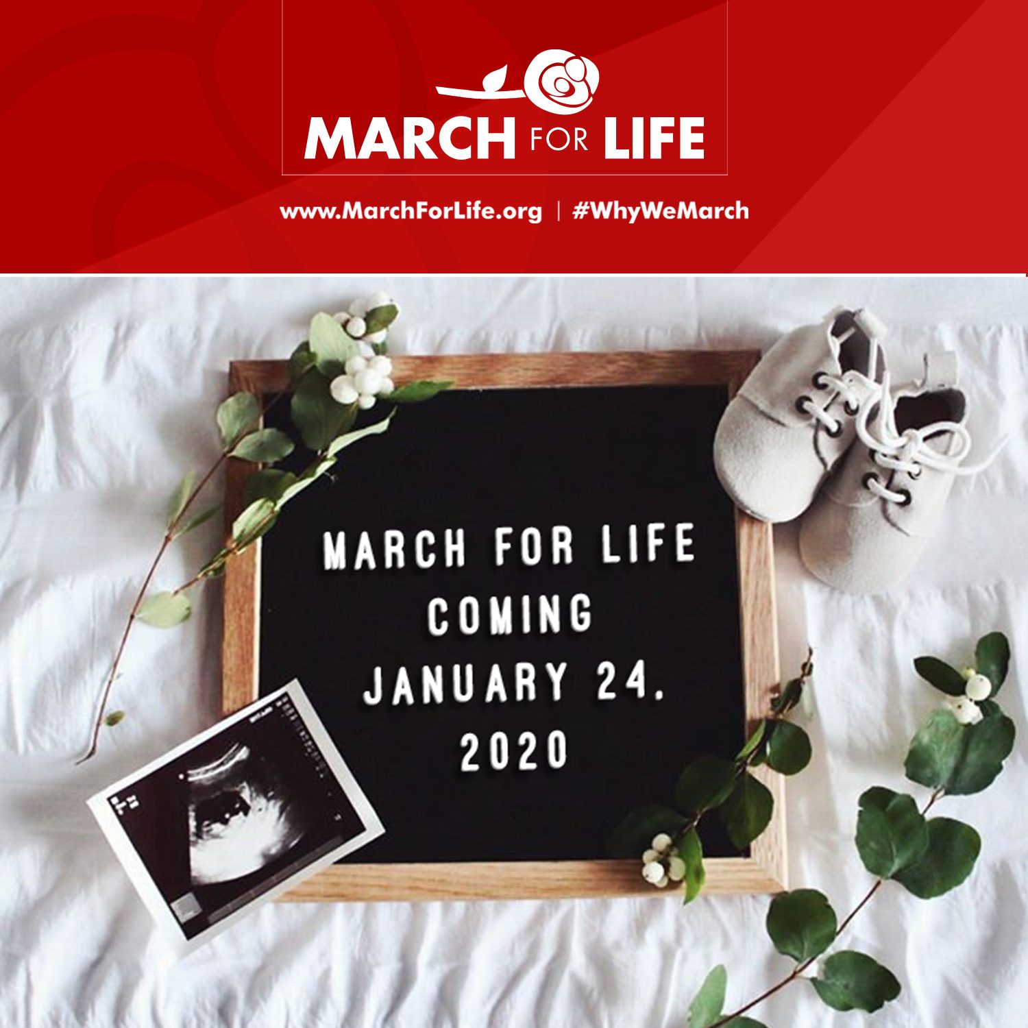 2019 March for Life Downloads1500 x 1500
