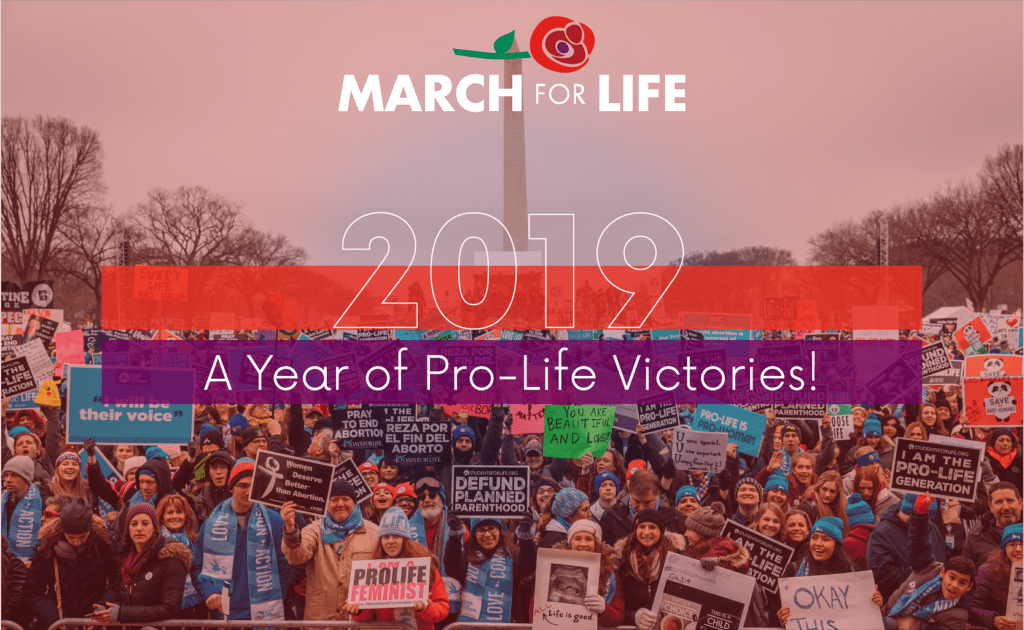 2019: A Year of Pro-Life Victories!