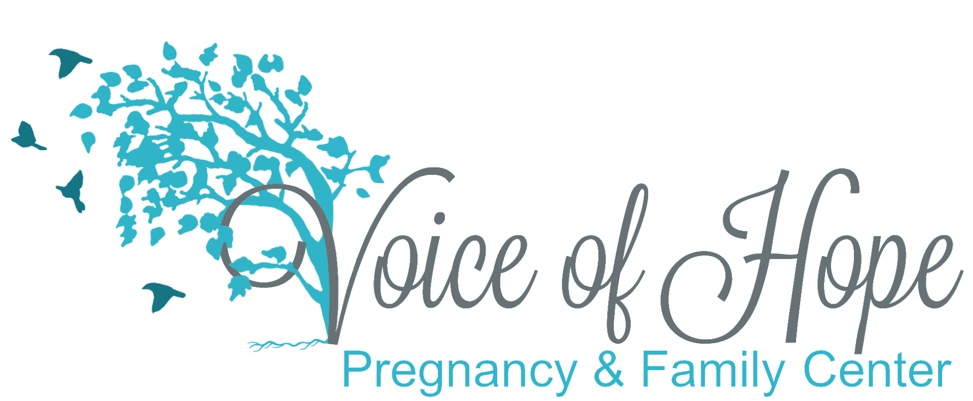2020 Voice of Hope logo