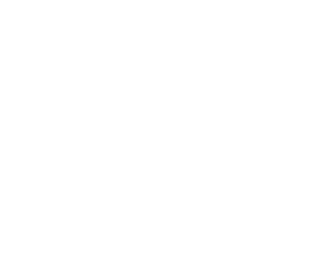 Arizona Life Coalition
